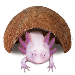 JOR cueva de coco para axolotl ofrece refugio privado y tranquilo en el acuario