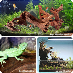 Textura porosa de la madera Jorewood, crea refugios y cuevas para reptiles.