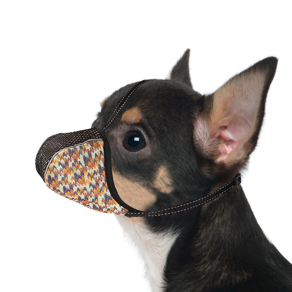 JOYPAWS mordaza para perros XS, diseño semioculto con malla transpirable para paseos.
