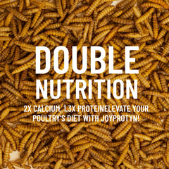 Joyprotyn proteína 43% para desarrollo muscular y plumaje de aves.
