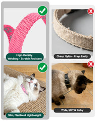 Collar Joytale ligero y cómodo para gatos.
