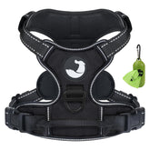 Joytale Harnais anti-traction avec clip poitrine pour des promenades contrôlées.