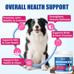 Just Try 300 Bites para perros, glucosamina y articulaciones para movilidad suave