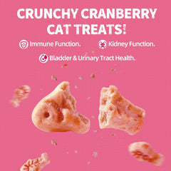 Just Try golosinas crujientes de salmón para gatos, buena recompensa diaria.