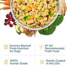 JustFoodForDogs comida pavo macarroni servida en plato para perros activos