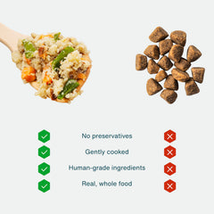 JustFoodForDogs toppings para alimento seco: mejora la palatabilidad y hidratación.