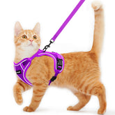 Arnés Kaazylab para gato a prueba de escape, seguridad en paseos
