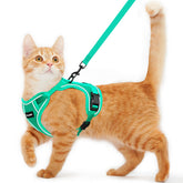 Kaazylab arnés gato con ajuste de 360° para un ajuste cómodo y seguro.