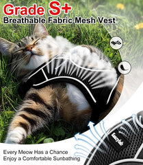 Arnés Kaazylab ajuste talla XS para gatitos pequeños