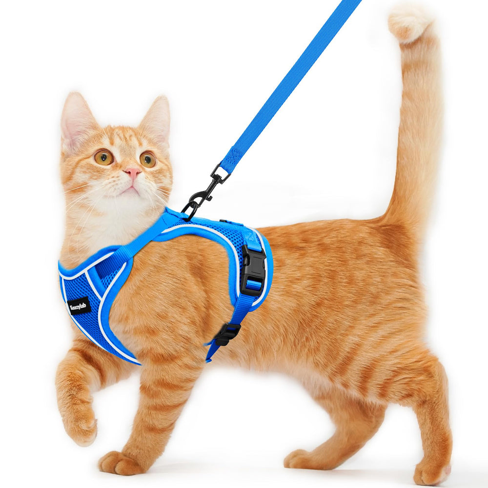 Correa Kaazylab para gato azul ajustable para paseos seguros.