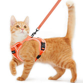Arnés Kaazylab para gato, prueba de escape para paseos seguros al exterior.