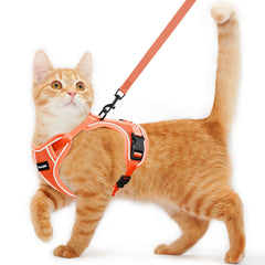 Arnés Kaazylab para gato, prueba de escape para paseos seguros al exterior.
