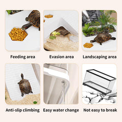 KAKOOTI tortuguera, material PC resistente y claro para observar detalles