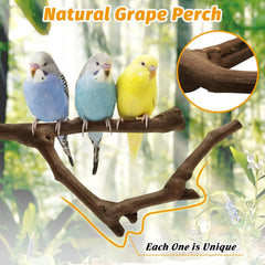 kathson percha de diámetro 0,7-1,1 pulgadas para ejercitar las patas.