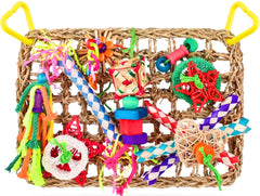 Katumo: tapis en herbe marine pour oiseau, stimulation naturelle et exploration.
