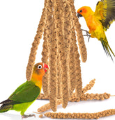 Katumo mijo en espiga para aves, snack natural y crujiente.