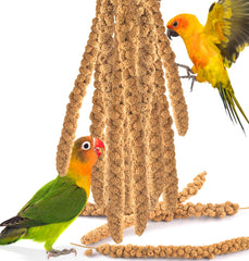 Katumo mijo en espiga para aves, snack natural y crujiente.