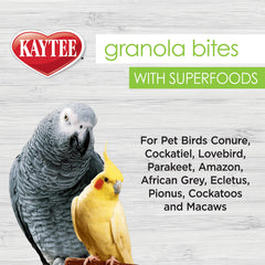 Kaytee Granola Bites, aves-disfrutan: ideal para vínculo y juego.