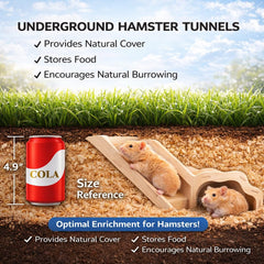 Kcrygogo Hamster Explorer Set: madera de haya natural para juego seguro.