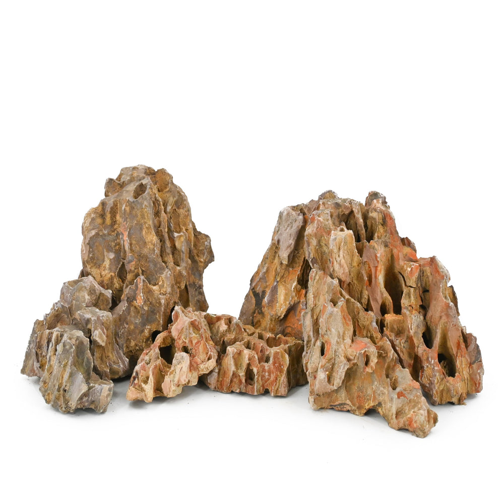 kecilke piedra dragón escena acuario para paisaje natural