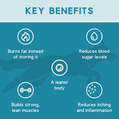 Ketona, baja en carbohidratos con solo 5% para dieta equilibrada.