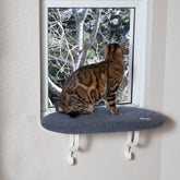 K&H Kitty Sill hamaca de ventana para gatos grandes, descanso soleado.