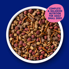 Mini Bits de Kibbles 'n Bits piezas pequeñas para mordidas fáciles