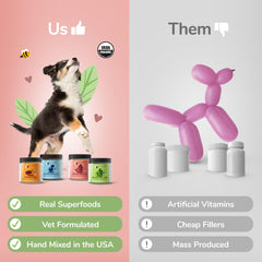 Kin-kind suplementos para gatos: porciones diarias para nutrición.