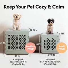 KindTail PAWD puerta abierta o cerrada, seguridad adaptable para tu mascota.