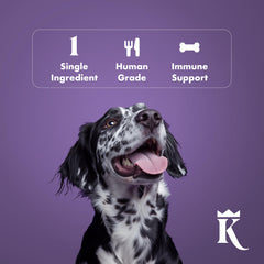 Empaque premium King Lou Pets listo para uso diario.