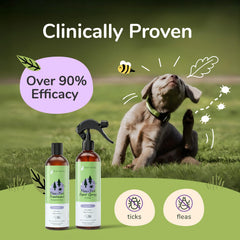 KinKind aceites esenciales romero para repeler pulgas de forma natural.