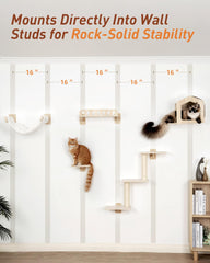 Kinotail conjunto ajustable para gato: configuración flexible.