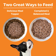 KOHA comida húmeda para perros pate, textura suave para una alimentación sabrosa.