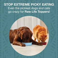 KOHA Raw Life Topper con probióticos para apoyar la digestión.