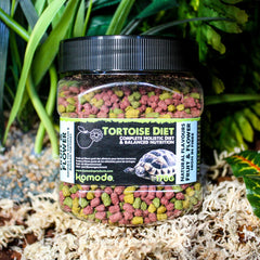Komodo Dieta tortugas fruta y flor, sabor natural para aceptación suave.