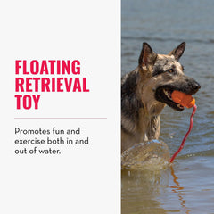 KONG Aqua con cuerda para lanzamientos largos y entrenamiento