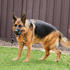 KONG bola extrema resistente con cuerda para perros grandes en acción