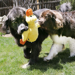 KONG Comfort Duck Jumbo XL ofrece sonidos crinkle que atraen al perro durante el juego.