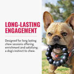 KONG Extreme Ring en uso para sesiones de masticación prolongadas.