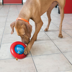 KONG Gyro: diseño compacto, ideal para espacios pequeños.