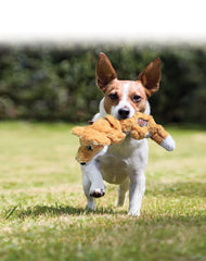 KONG Juguete para perros con movimiento natural para juego dinámico