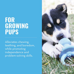 KONG Puppy Binkie, foco masticable, para cachorros.