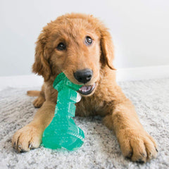 KONG Squeezz Dental Bone favorece la limpieza de dientes durante el juego.