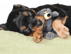 KONG Wild Knots Osos peluche suave y duradero para diversión diaria.