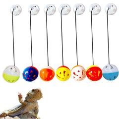 Koomduk bolas con campana y ventosas para dragón barbudo, estimulan juego y exploración.