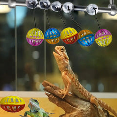 Koomduk dragón barbudo, cuerda para colgar ofrece juego vertical en terrario