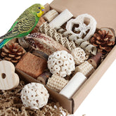 Juguetes Kyouki para aves, caja de forraje natural invitando a explorar