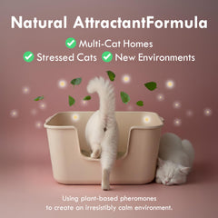 Lady N, feromonas-calmas, ambiente tranquilo para el gato