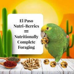 LAFEBER'S El Paso Nutri-Berries pellets redondos que invitan al forrajeo y juego.