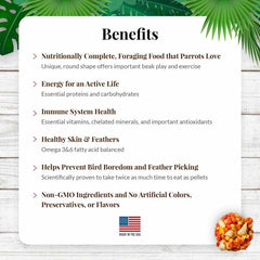LAFEBER'S Fruta Tropical Nutri-Berries bolsitas de 10oz para loros